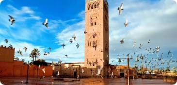 Explore the best of Morocco